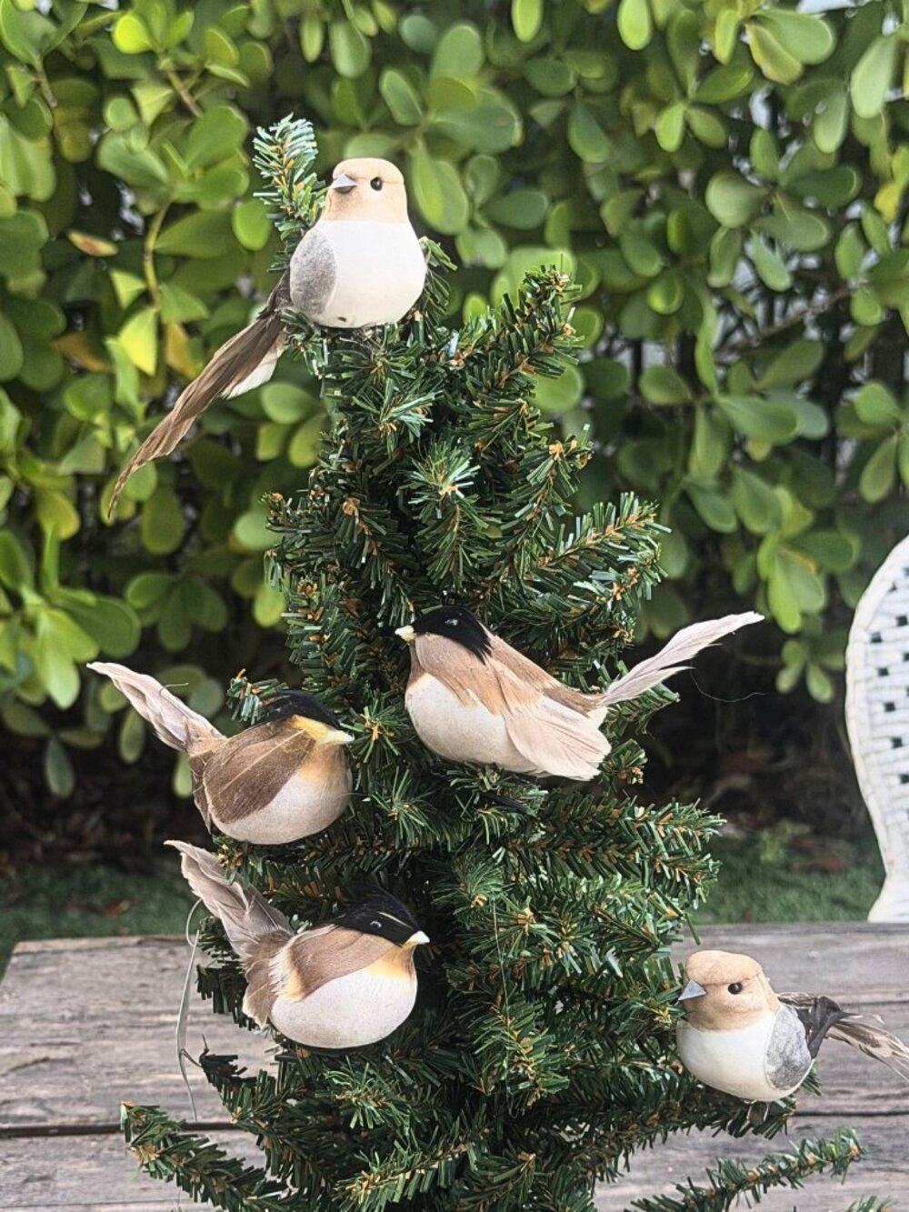 Lot of 5 Vintage Bird Clip On Christmas Tree Ornaments Woodland Cottage Decor